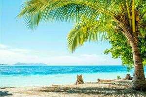 rustig tropisch strand met palm bomen en blauw zee. foto