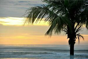 rustig tropisch strand met palm bomen en blauw zee. foto