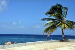 rustig tropisch strand met palm bomen en blauw zee. foto