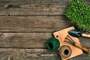 tuinieren gereedschap en groen Aan houten tafel. voorjaar in de tuin foto