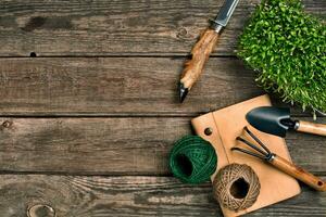 tuinieren gereedschap en groen Aan houten tafel. voorjaar in de tuin foto