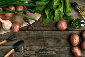 vers aardappelen, olie, knoflook en pittig kruiden Aan een keuken houten achtergrond. vers groenten van uw eigen tuin. foto