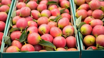 vers geplukt maracuja fruit van tuin geplaatst in de dozen. generatief ai foto