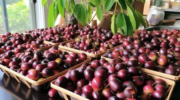 vers geplukt jamblang fruit van tuin geplaatst in de dozen. generatief ai foto