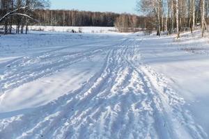 winterlandschap met berkenbos foto