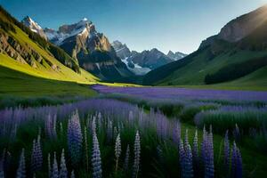 de zon schijnt Aan een veld- van lupine bloemen in de bergen. ai-gegenereerd foto