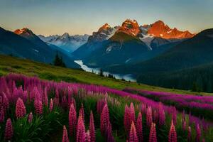 de zon stijgt over- de bergen en de lupine bloemen bloeien in de voorgrond. ai-gegenereerd foto