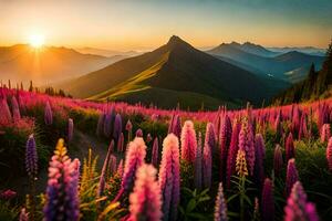 de zon stijgt over- de bergen en de lupine bloemen bloeien. ai-gegenereerd foto