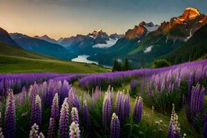 de lupine bloemen zijn bloeiend in de bergen. ai-gegenereerd foto