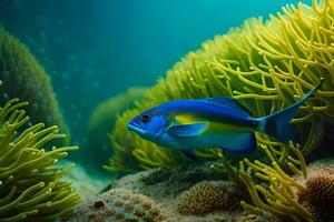 een blauw vis zwemmen in de oceaan met een anemoon. ai-gegenereerd foto