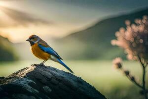 foto behang de lucht, vogel, zonsondergang, vogel, vogel, vogel, vogel, vogel,. ai-gegenereerd