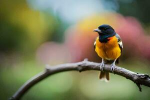 een klein oranje en zwart vogel zittend Aan een Afdeling. ai-gegenereerd foto