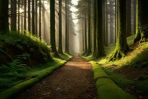 een pad door een Woud met bomen en gras. ai-gegenereerd foto