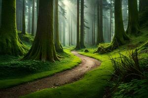 een pad door een Woud met hoog bomen. ai-gegenereerd foto