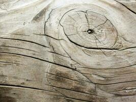 een dichtbij omhoog van een houten log met een circulaire patroon foto