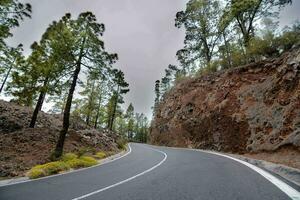 een weg kronkelend door de bergen met bomen Aan of kant foto