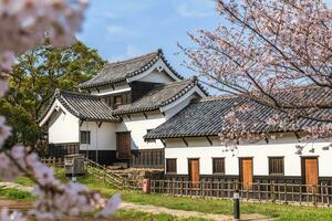 landschap van fukuoka kasteel met kers bloesem in fukuoka, kyushu, Japan foto