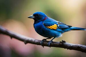 een blauw vogel met geel en zwart veren. ai-gegenereerd foto