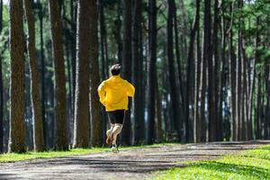 terug visie van spoor loper is rennen buitenshuis in de pijnboom Woud aarde weg voor oefening en training activiteiten opleiding naar ras in ultra marathon naar bereiken gezond levensstijl en geschiktheid foto