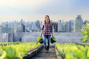 Aziatisch vrouw tuinman is groeit organische stoffen groente terwijl werken Bij op het dak stedelijk landbouw voor stad duurzame tuinieren Aan beperkt ruimte naar verminderen koolstof voetafdruk verontreiniging en voedsel veiligheid foto