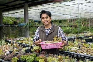 Aziatisch tuinman is werken binnen de kas vol van sappig planten verzameling terwijl propageren door blad snijdend methode voor sier- tuin en vrije tijd hobby gebruik foto