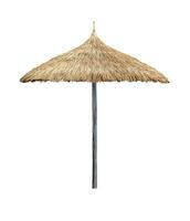 single strand paraplu parasol gemaakt van kokosnoot blad geïsoleerd Aan wit achtergrond voor strand ontwerp concept foto