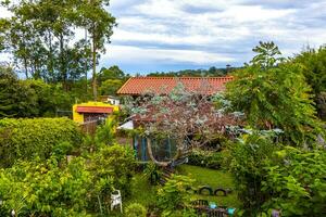 para hierdia costa rica 2022 mooi berg landschap stad panorama Woud bomen natuur costa rica. foto