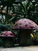 twee champignons met zwart vlekken Aan hen zitten Aan een tafel foto