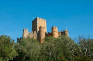 beeld van almourol kasteel, in Portugal foto