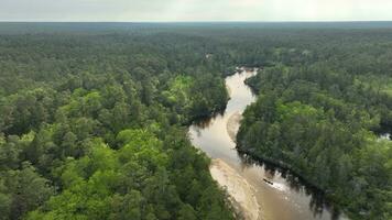 rivier- en Woud panorama dar fotografie antenne visie foto