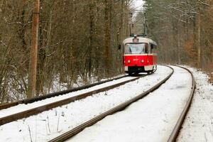 haasten tram door de winter Woud foto