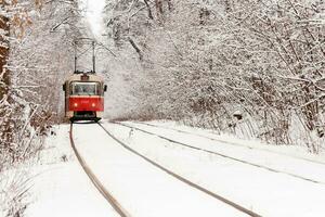 een oud tram in beweging door een winter Woud foto