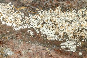 macro mineraal bismut steen Aan hartenstein schacht Aan wit achtergrond foto