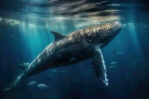 gebochelde walvis zwemmen onderwater- in diep blauw oceaan. wetenschappelijk naam sperma walvis, sperma walvis zwemmen onderwater, ai gegenereerd foto