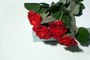 boeket rode rozen op een witte achtergrond foto