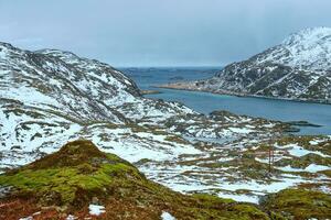 visie van Noors fjord, lofoten eilanden, Noorwegen foto