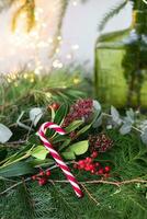groen achtergrond van leven bladeren en takken, rood Kerstmis snoep. nieuw jaar samenstelling, een kant en klaar opening. nieuw jaar en Kerstmis viering concept. foto