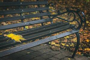 eenzaam geel blad Aan een park bank. herfst tijd. oog charme. uw tijd is geweldig naar ik.filmisch foto