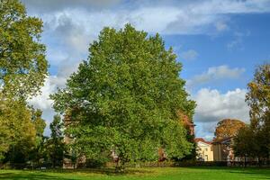 de stad van velen in Duitsland foto