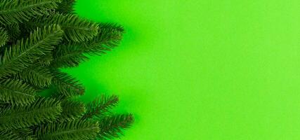 top visie banier van kader gemaakt van Spar boom Aan kleurrijk achtergrond met kopiëren ruimte. vrolijk Kerstmis concept foto