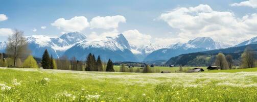 idyllisch berg landschap in de Alpen met bloeiend weiden in lente, ochtend- licht, kopiëren ruimte, generatief ai foto