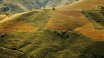 ai gegenereerd groen thee plantage, top visie structuur foto