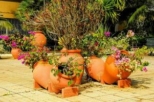 meerdere oranje potten met bloemen in hen Aan een steen patio foto