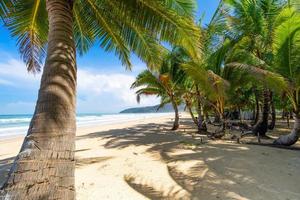 phuket karon strand zomer strand met palmbomen