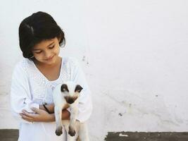 schattig kind meisje Holding in handen een mooi Siamees kat foto