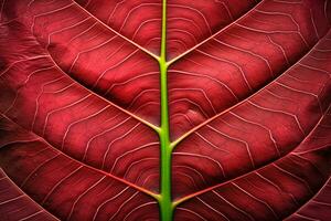 abstract rood gestreept van gebladerte van natuur, detail van blad getextureerde achtergrond. generatief ai. foto