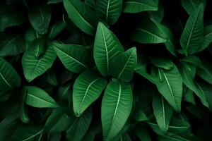 groen bladeren patroon achtergrond, natuurlijk achtergrond en behang. generatief ai. foto
