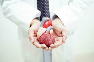 cardiovasculair ziekte cvd, dokter met hart menselijk model- anatomie voor behandeling geduldig in ziekenhuis. foto