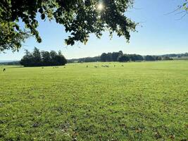 een visie van de Cheshire platteland in de buurt knusford Aan een zonnig dag in herfst foto