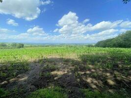 uitzicht op het platteland van Cheshire bij Peckforton Hills foto